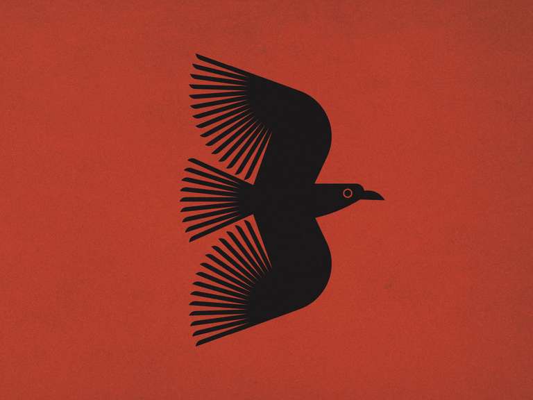 10 Bird Logo Design Inspirations for Brand Identity Design