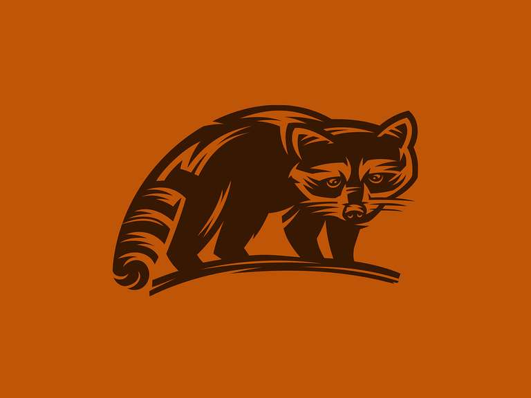 10 Raccoon Logo Design Inspirations for Brand Identity Design