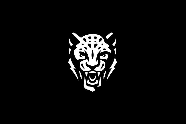 10 Tiger Logo Design Inspirations for Brand Identity Design