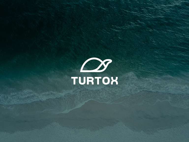 10 Turtle Logo Design Inspirations for Brand Identity Design