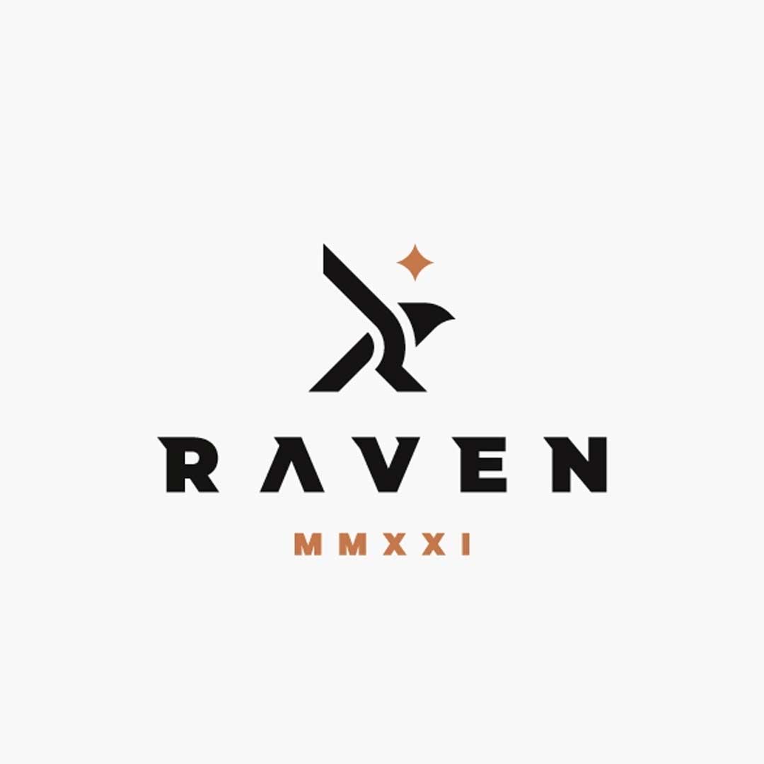 raven logo ideas for logo design inspirations